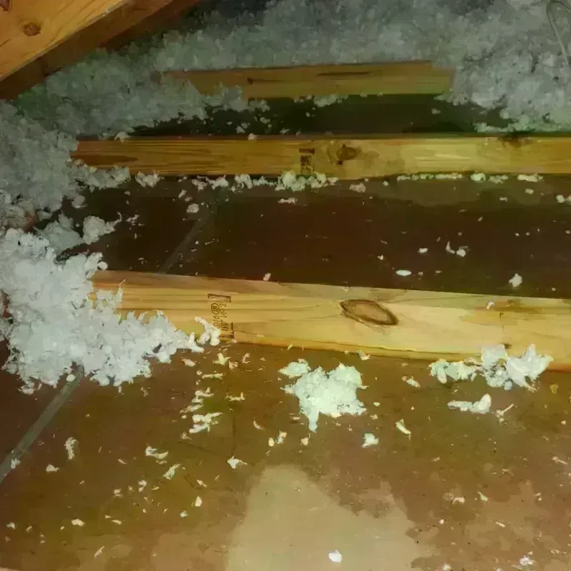 Attic Water Damage in Elephant Butte, NM